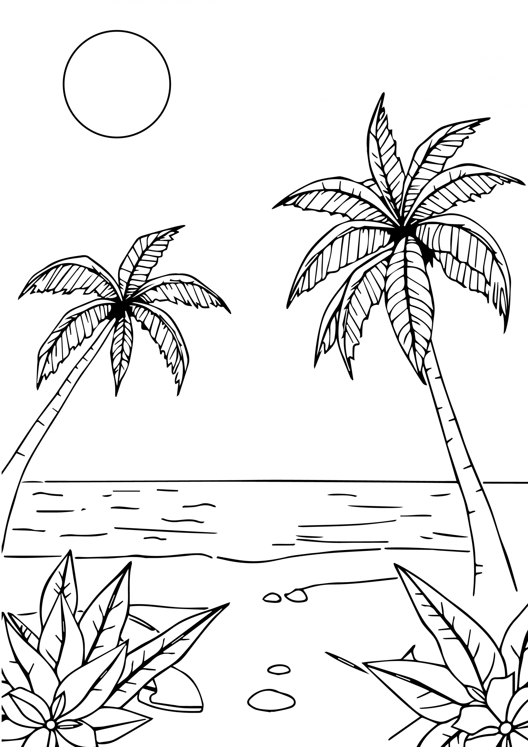 At the Beach