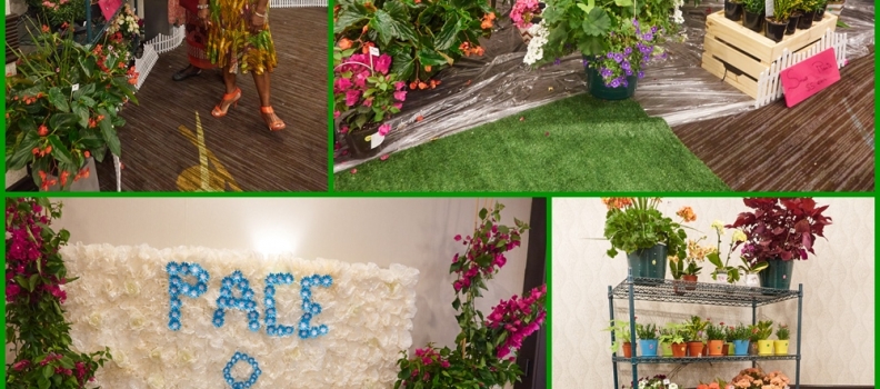 PACE Canada Strawberry Social 2019